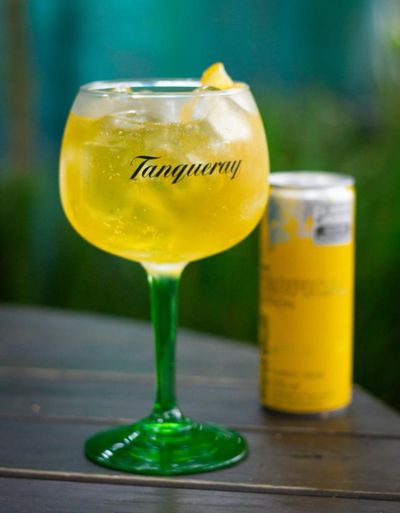 Tropical Gin Importado